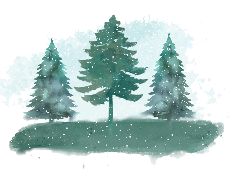 Christmas-Trees-Default-Image